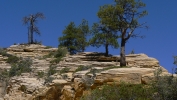 PICTURES/Angels Landing - Zion/t_West Rim Trail View1.JPG